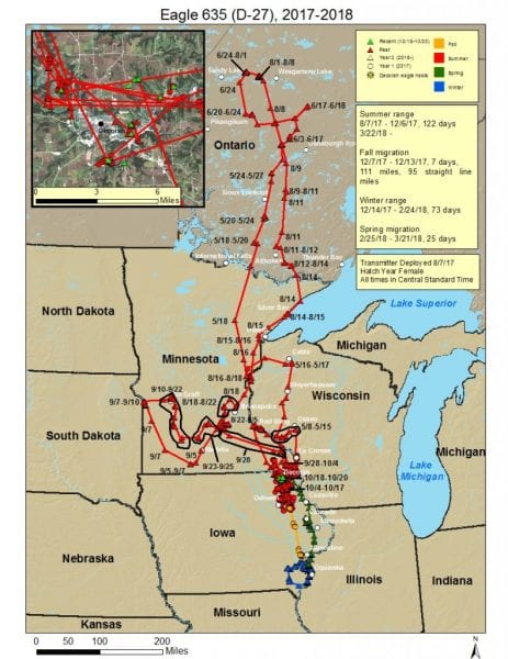 Raptor Resource Project: Bald Eagle and Bird of Prey Cams