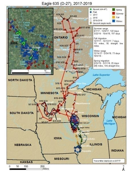 Raptor Resource Project: Bald Eagle and Bird of Prey Cams