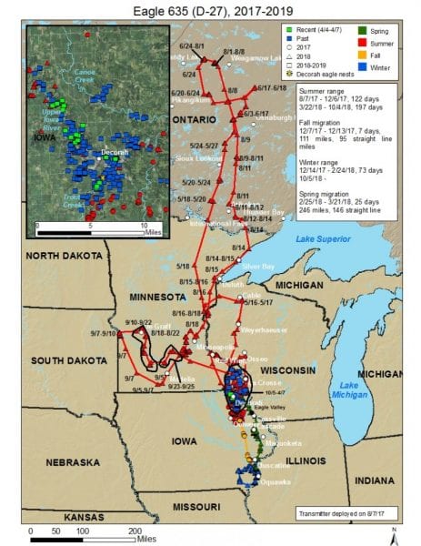 Raptor Resource Project: Bald Eagle and Bird of Prey Cams