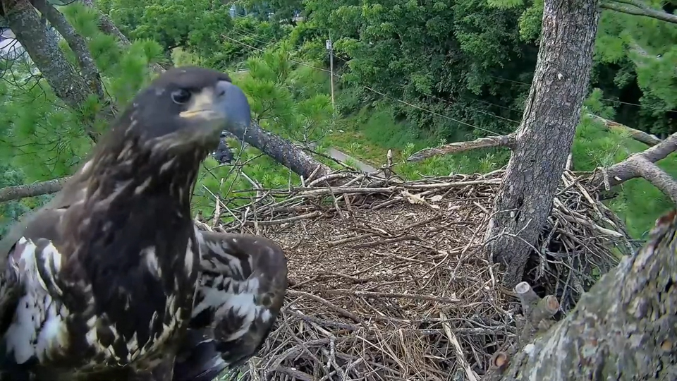 July 5, 2024: TE2 taking a selfie in Trempealeau!