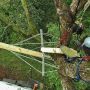 A look at the nest basket from above.