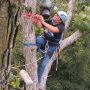 We also had to clean the cameras. Amy sets up anchors to move higher into the tree.