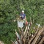 John delivering more branches. He LOVED the bucket truck!