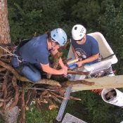 Attaching another brace to expand the nest and prevent slumping. John's first bionic limb rebuild out at Xcel Energy's Fort St. Vrain nest happened after the nest slumped.