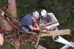 Attaching another brace to expand the nest and prevent slumping. John's first bionic limb rebuild out at Xcel Energy's Fort St. Vrain nest happened after the nest slumped.