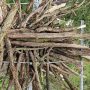 Sticks and more sticks! We wove and crunched smaller branches between the larger branches to plug the gaps. We felt like eagles…and now I wonder if some of the nest digging helps probe for gaps and determine where grass and husks should go!