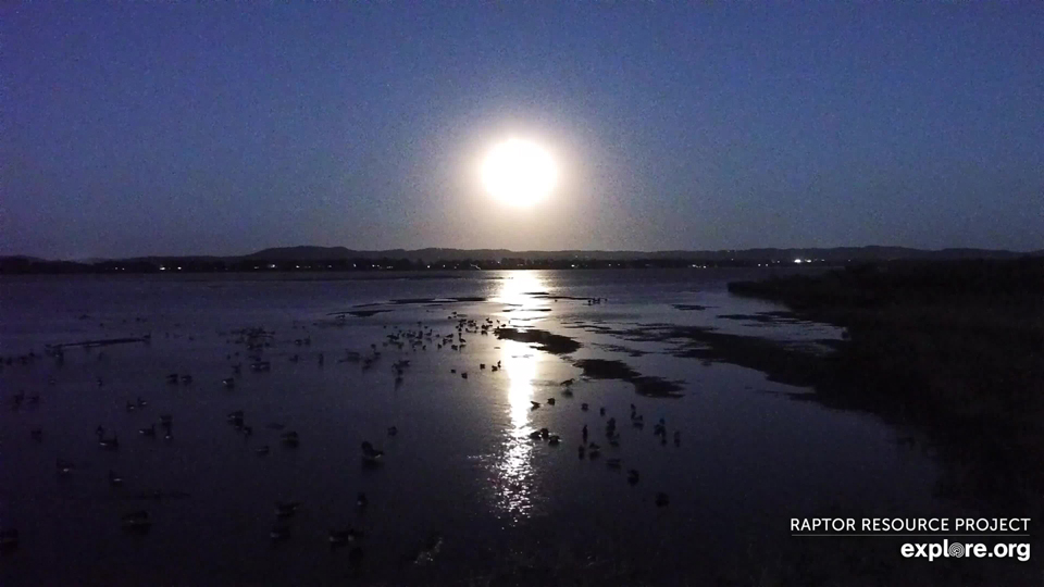 October 17, 2024: A full Harvest Moon over the Mississippi Flyway.