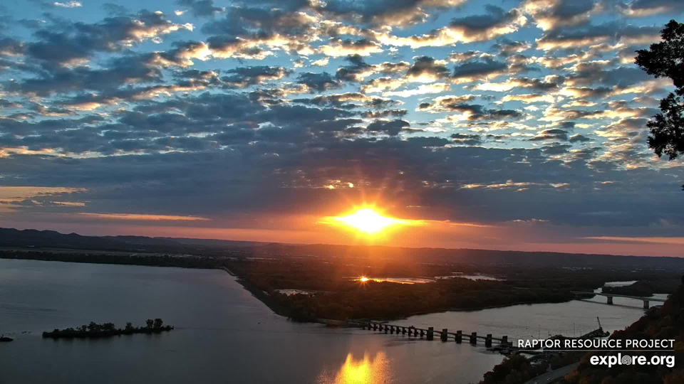 October 23, 2024: Sunrise over the Mississippi River from Great Spirit Bluff. Newman and Elaine appear to have left, but we're seeing spectacular views, migratory birds, and of course bald eagles!