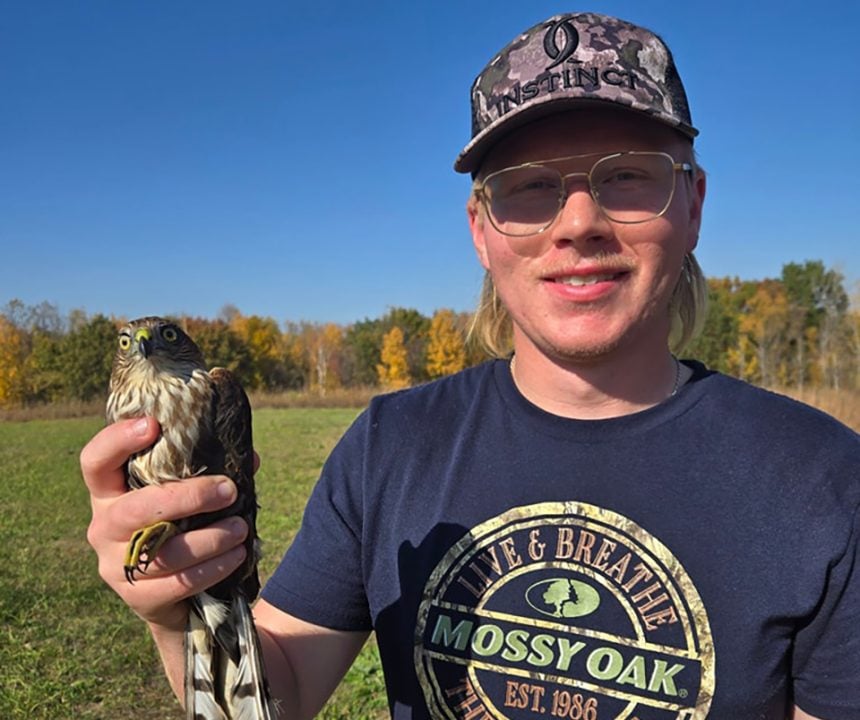 RRP Intern Peter with a sharp-shinned hawk