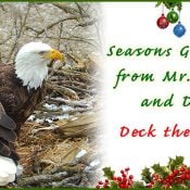 Season's Greetings from DNF and Mr. North!