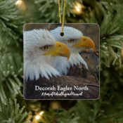 Decorah Eagles North ornament. There are three. All of them feature Mr. North and DNF on the front. the backs have Mr. North, or DNF, or DN17 and DN18. Choose your favorite or buy them all!