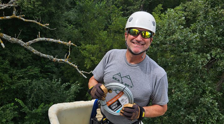 RRP Director John Howe working on the North Nest rebuild in August